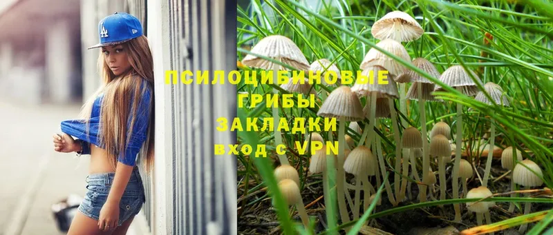 ОМГ ОМГ ссылки  Комсомольск  Галлюциногенные грибы Psilocybine cubensis 